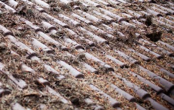 Kingsand roof cleaning companies